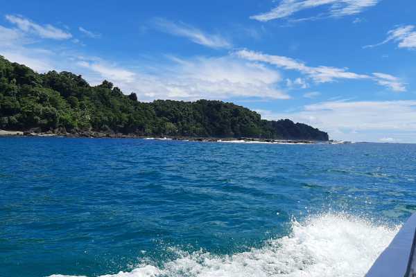 Corcovado National Park (San Pedrillo Station)