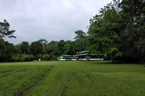 Corcovado National Park (San Pedrillo Station)