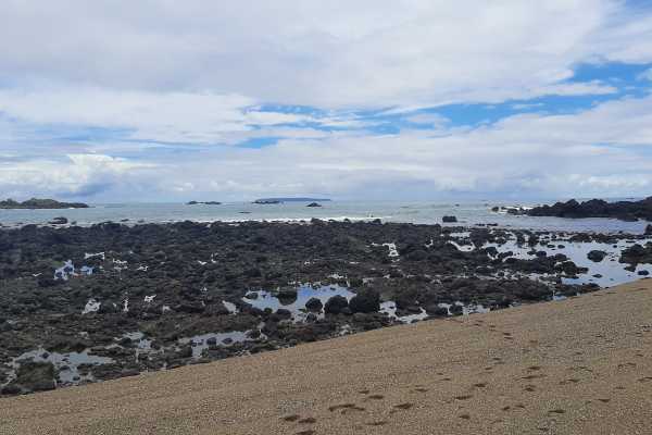 Corcovado National Park (San Pedrillo Station)
