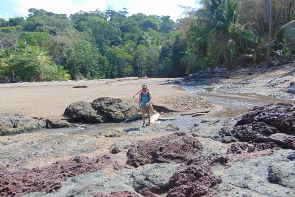 Corcovado National Park (San Pedrillo Station)