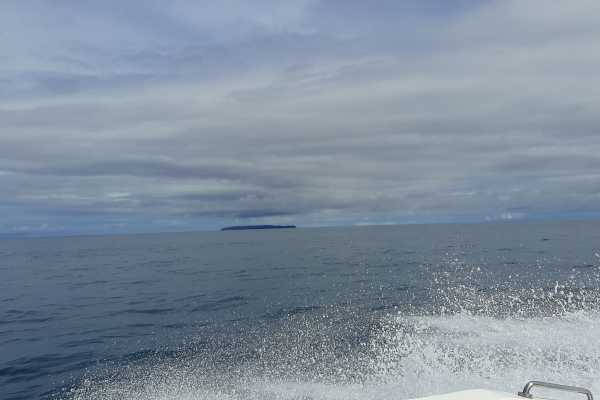 Corcovado National Park (San Pedrillo Station)