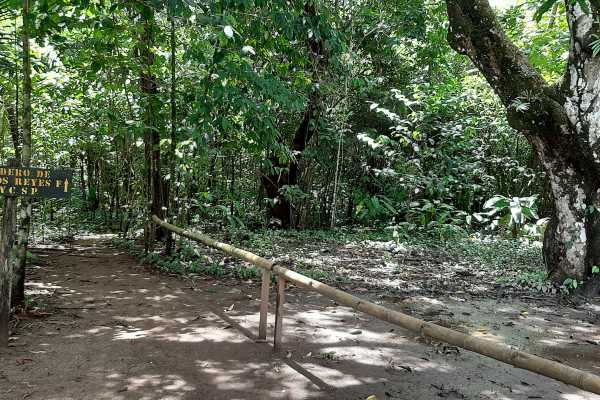 Corcovado National Park (San Pedrillo Station)