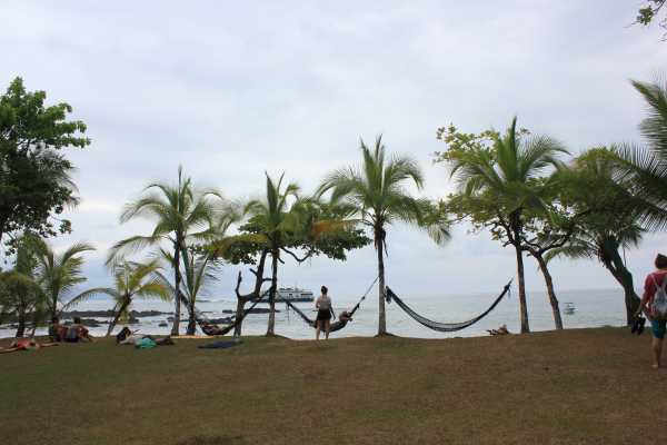 Corcovado National Park (San Pedrillo Station)
