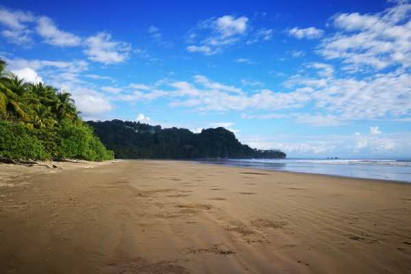 Walk in Ballena National Marine Park