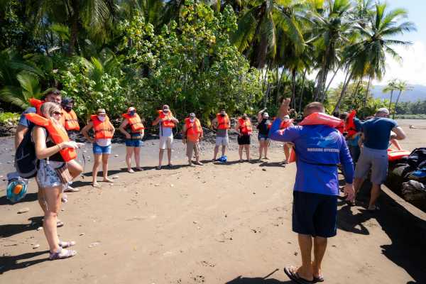 Combo Tour (Whale and/or Dolphins in Marino Ballena N.P.