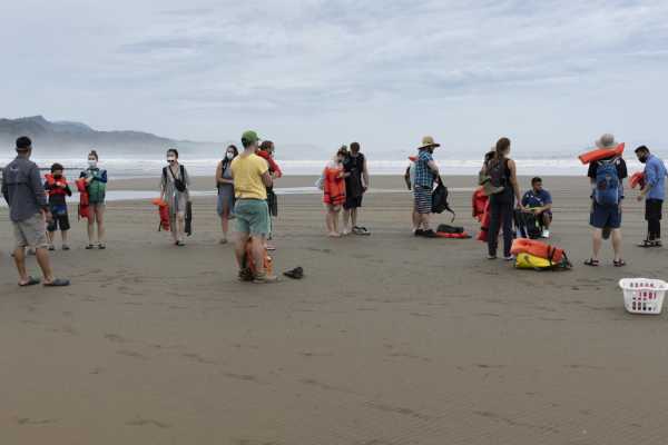 Combo Tour (Whale and/or Dolphins in Marino Ballena N.P.