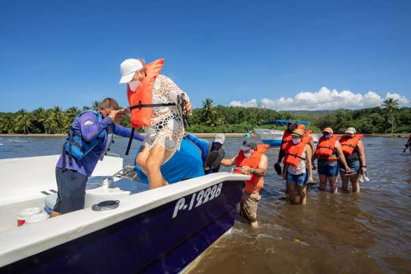 Combo Tour (Whale and/or Dolphins in Marino Ballena N.P.
