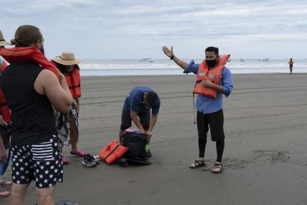 Combo Tour (Whale and/or Dolphins in Marino Ballena N.P.