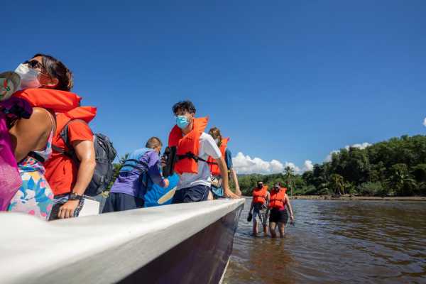 Combo Tour (Whale and/or Dolphins in Marino Ballena N.P.