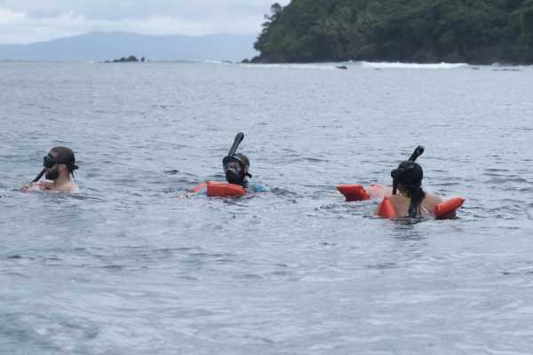 Combo Tour (Whale and/or Dolphins in Marino Ballena N.P.