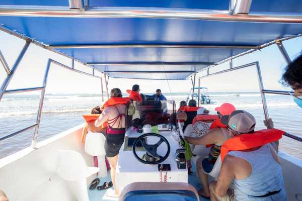 Combo Tour (Whale and/or Dolphins in Marino Ballena N.P.