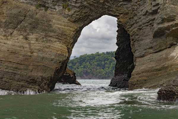 Combo Tour (Whale and/or Dolphins in Marino Ballena N.P.