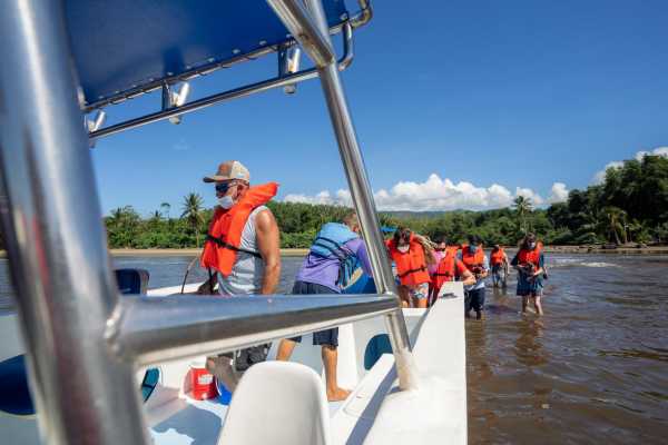 Combo Tour (Whale and/or Dolphins in Marino Ballena N.P.