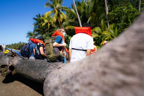 Combo Tour (Whale and/or Dolphins in Marino Ballena N.P.
