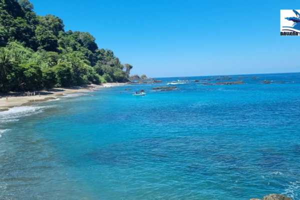 Snorkeling tour in Cano Island