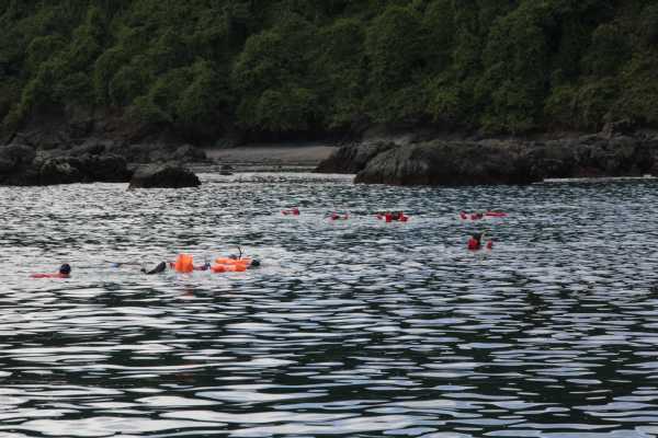 Snorkeling tour in Cano Island