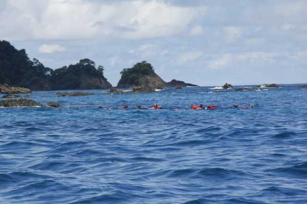 Snorkeling tour in Cano Island