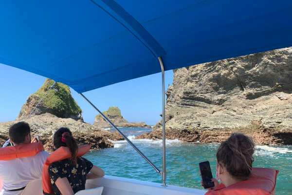 Private Tour Combo Tour ( Whales and/or Dolphins in Ballena National Marine Park