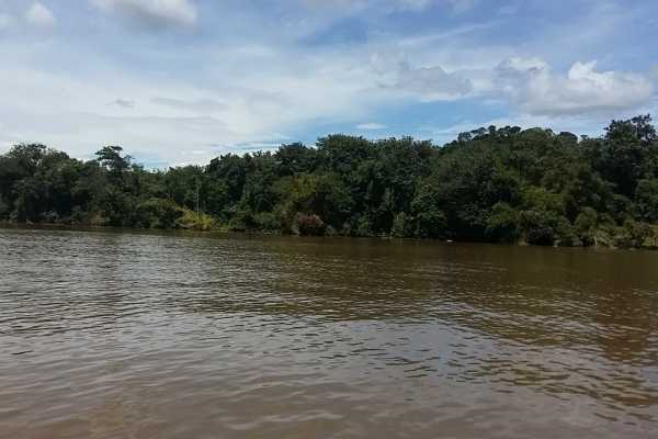 Terraba - Sierpe National Wetland Tour