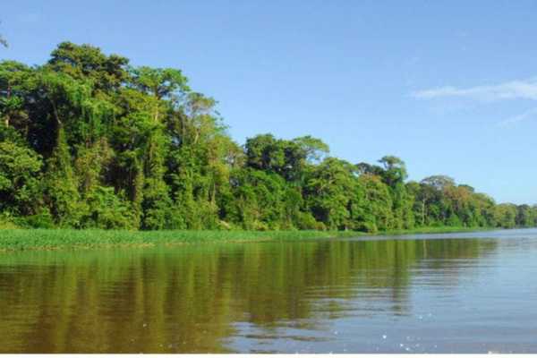 Terraba - Sierpe National Wetland Tour
