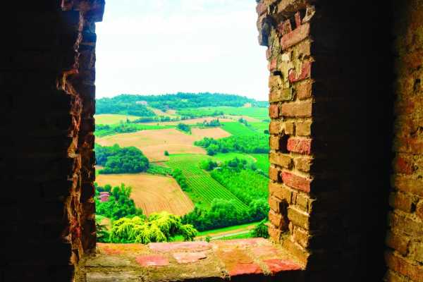 Dozza Wine Path