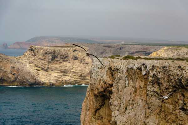*TAP* West Coast Jeep Tour