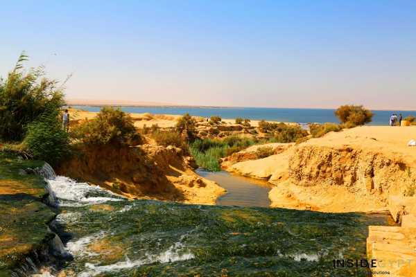 Day trip to Wadi Al Hitan and Fayoum Oasis from Cairo