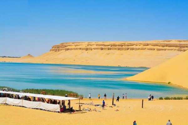 2 Day Desert Camping trip in Fayoum from Cairo