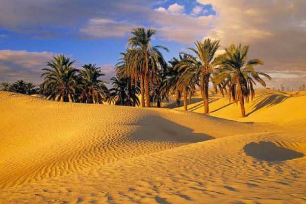 2 Day Desert Camping trip in Fayoum from Cairo