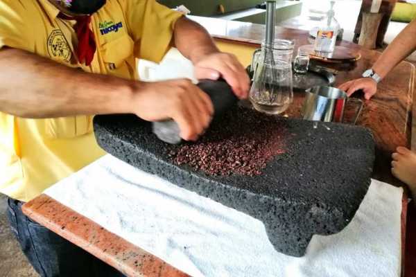 Coffee and Chocolate Cultural Tour