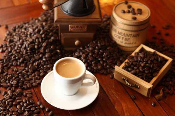 Coffee and Chocolate Cultural Tour