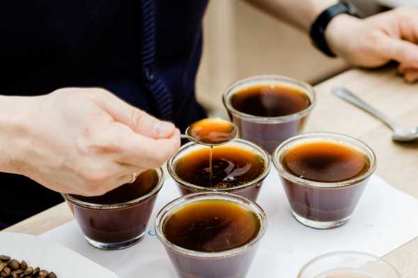 Coffee and Chocolate Cultural Tour