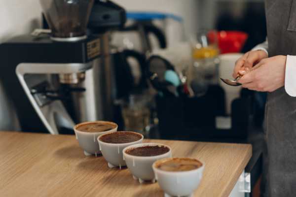 Coffee and Chocolate Cultural Tour