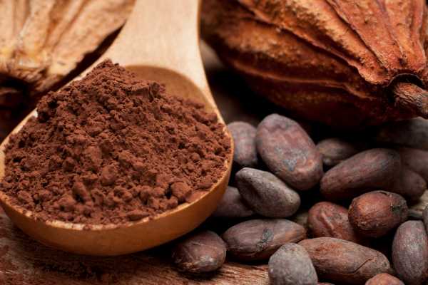 Coffee and Chocolate Cultural Tour