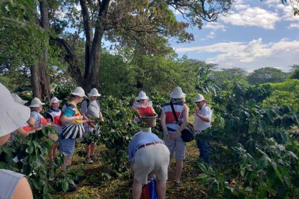 Coffee and Chocolate Cultural Tour