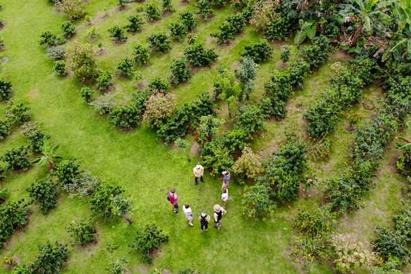 Coffee and Chocolate Cultural Tour
