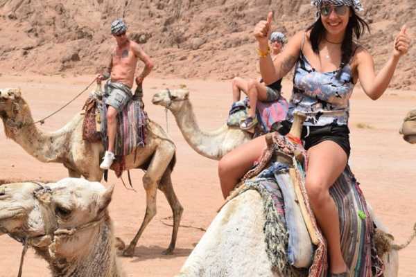 Desert Safari by Quad Bike in Sinai Desert