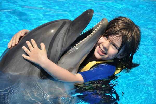Swimming with Dolphins in Sharm el Sheikh