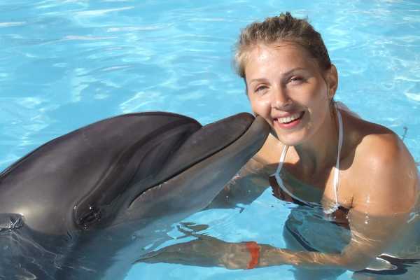 Swimming with Dolphins in Sharm el Sheikh