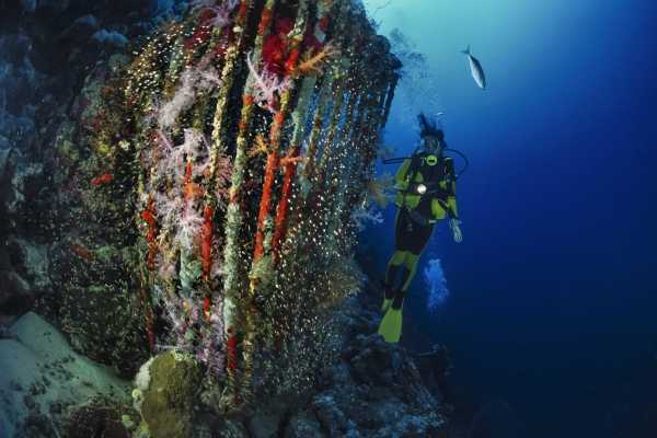 Scuba Diving 2 Dives from Sharm el-Sheikh