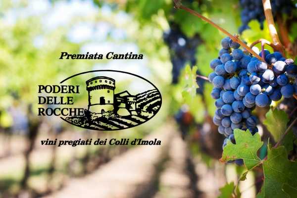 The Wine Trail between Dozza and Imola: Visit to the Poderi delle Rocche Winery