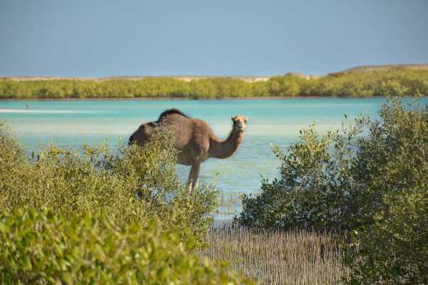 15-Day Egypt Itinerary with Pick up