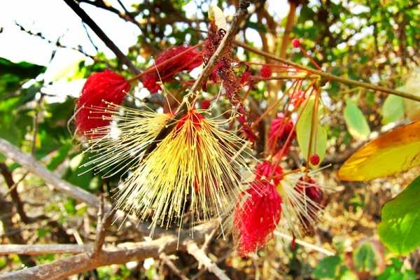 Guided Hiking Tour on the Island Roqueta