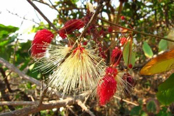 Guided Hiking Tour on the Island Roqueta