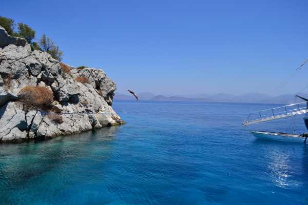 -Turkey West