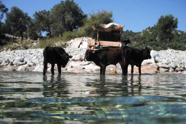 -Turkey West