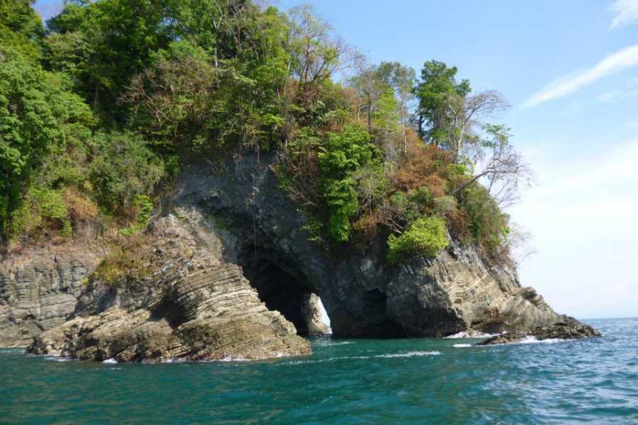 Uvita Information Center Marino Ballena Park snorkeling private tour