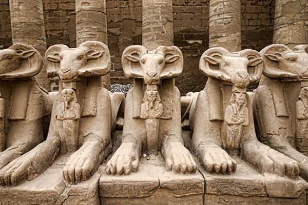 14 Day Egypt Itinerary
