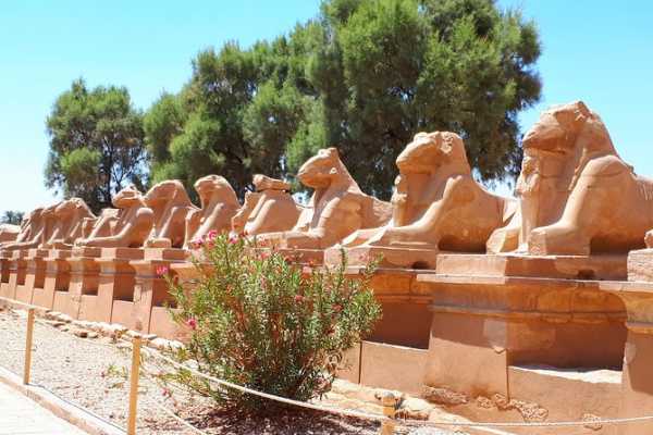 14 Day Egypt Itinerary