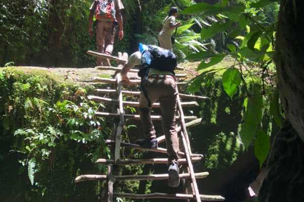 ARUSHA MOUNT MERU FOREST RESERVE - NAPURU WATERFALLS - 2hrs (Easy Level)